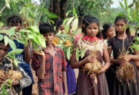 Jamui: जंगल बचाने के लिए आदिवासी बच्चों की अनोखी पहल