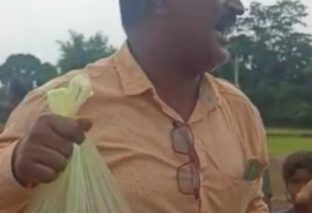 MDM का सेब हेड मास्टर ले जा रहे थे बैग में भरकर, ग्रामीणों ने बैग से सेब निकाल किया वीडियो वायरल