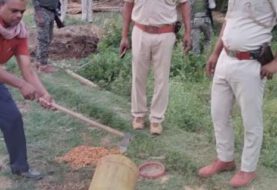 शराब माफिया के विरुद्ध पुलिस ने चलाया छापेमारी अभियान।