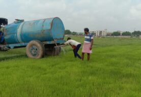 टैंकर की पानी सहारे धान का बिचड़ा, बचाने में जुटे किसान
