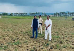 अल्प वर्षापात की वजह से जिले में धान रोपाई की स्थिति को जानने जिलाधिकारी पहुंचे किसानों के खेतों के बीच
